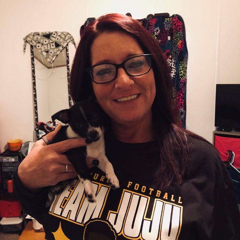 Meet your Posher, Shelley